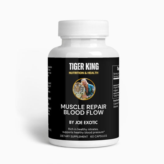 Muscle Repair Blood Flow