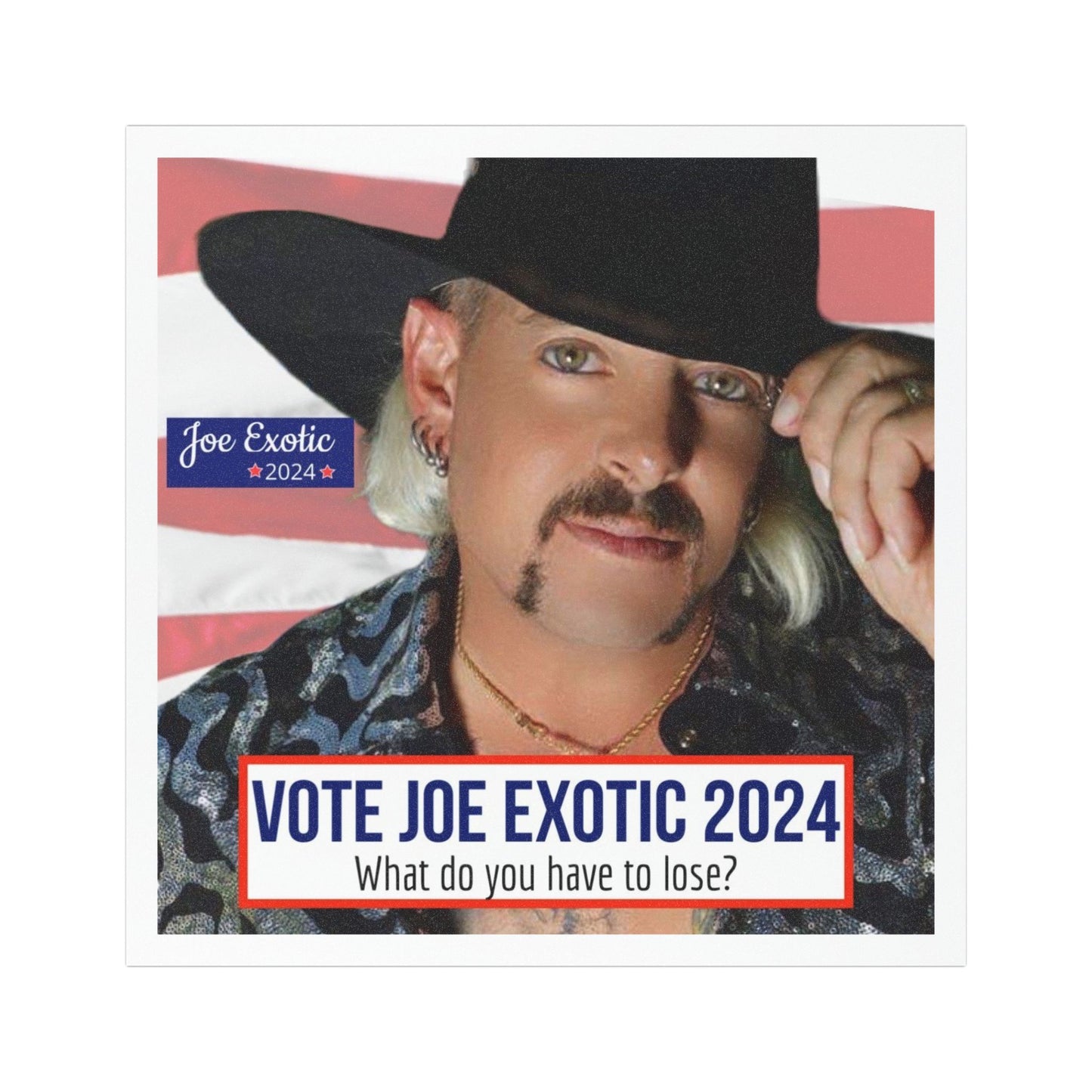 Vote Joe Exotic Vehicle Magnets